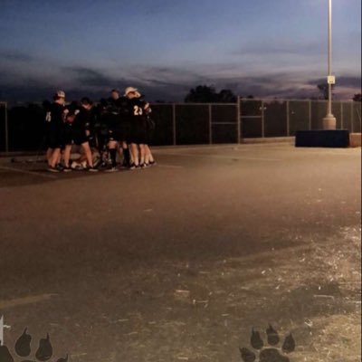 Profile Picture of Mike Facciolo (@MikeFacciolo) on Twitter