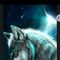 Profile Picture of Kim Joachim (@kim.joachim.7549) on Facebook