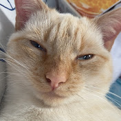 Profile Picture of El Smith (@elsmith945) on Youtube