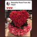 Profile Picture of Bernice Singleton (@bernice.singleton.129) on Facebook