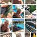 Profile Picture of Amy Redshaw (@amy.redshaw.7) on Facebook