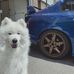 Profile Picture of Kenneth Yuen (@kenneth.yuen.372) on Facebook