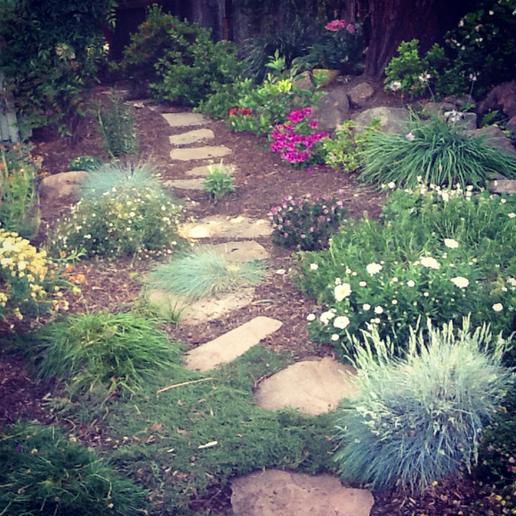 Yvonne Lydon - Poshmark Profile Picture of Yvonne Lydon (@yvlydon) on Poshmark