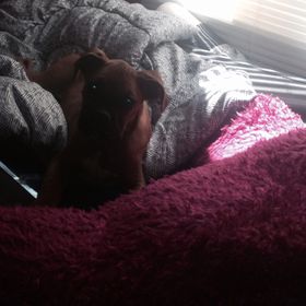 Profile Picture of Brad McChesney (@bradmcchesney) on Pinterest