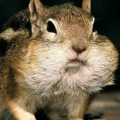 Profile Picture of Ed Skinner (@eskinner001) on Twitter