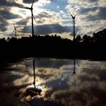 Profile Picture of Brandon L. (@brandonletcher) on Instagram