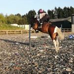 Profile Picture of Eleanor Mitchell (@elliemitchell19) on Instagram