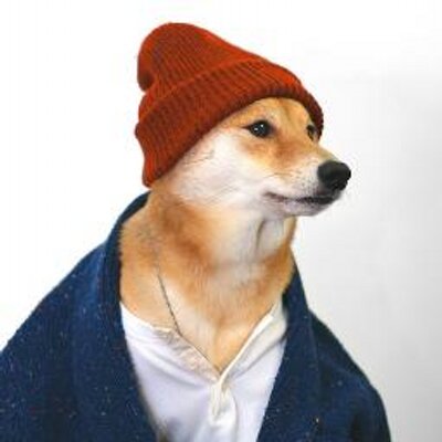Profile Picture of Chris Cohen (@chriscohen) on Twitter