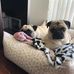 Profile Picture of Smith Jonathan (@smith.jonathan.3705) on Facebook