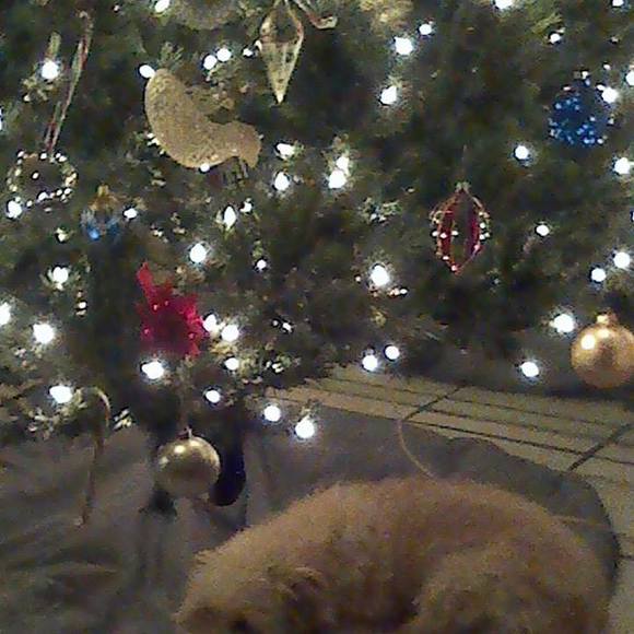 Profile Picture of Maria rosaria Nappo (@m_nappo) on Poshmark