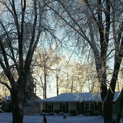 Profile Picture of Scott Jakovac (@sjakovac1) on Twitter