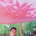 Profile Picture of Joseph Guarin (@joseph.guarin.961) on Facebook
