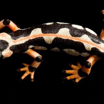 James Hak - Twitter Profile Picture of James Hak (@hakjames) on Twitter