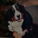 Profile Picture of Lisa Nolan Gregory (@5150vh) on Pinterest