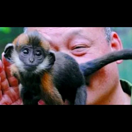 Profile Picture of CAN YOU "DIGG"IT! (@randyemerick0) on Tiktok