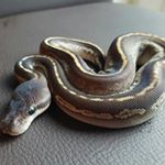 Profile Picture of Benjamin Lenz (@lenz_benjamin) on Instagram