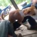 Profile Picture of Mitchell Talley (@mitchell.talley.7509) on Facebook