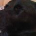 Profile Picture of Brian Bertram (@brian.bertram.906) on Facebook