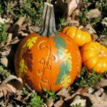 Profile Picture of Christine Michalak (@martinibeachgirl) on Instagram