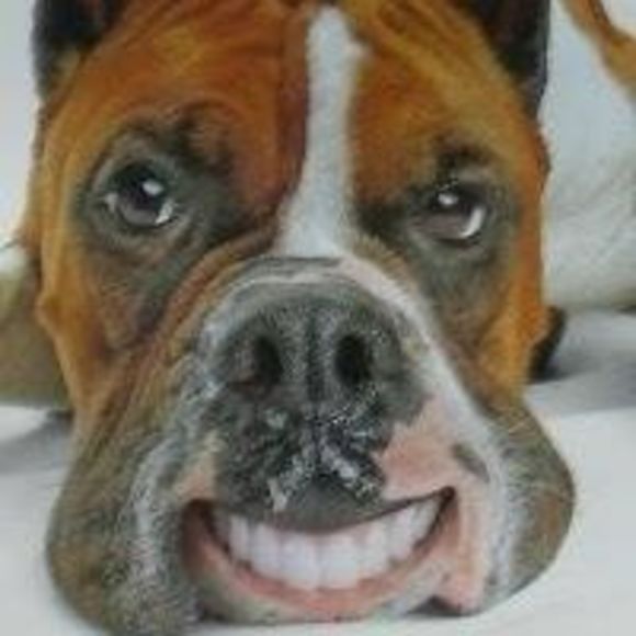 Profile Picture of Joel Schorr (@joel_schorr) on Poshmark