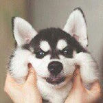 Profile Picture of Mikayla (@biancamikaelajimenez) on Instagram