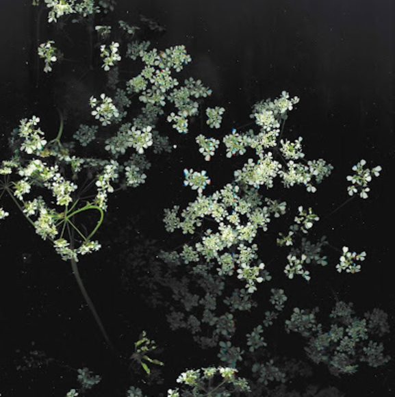 Profile Picture of Lucia Cano (@luciacc366) on Poshmark