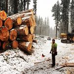 Profile Picture of Dustin Chevigny (@fulltilt.contracting) on Instagram