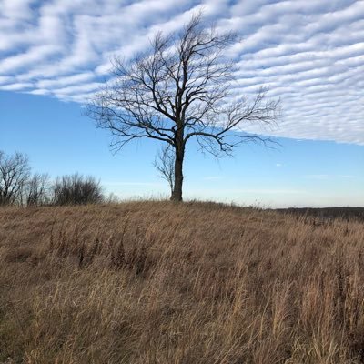 Profile Picture of Jeff Ashburn (@Jeff_D_Ashburn) on Twitter