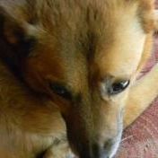 Profile Picture of Alex Clausen (@chilewa) on Pinterest