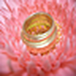 Profile Picture of Scottiekris Redekopp (@scottiekris) on Flickr