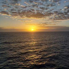 Profile Picture of isabellonni (@isabellonni) on Tiktok