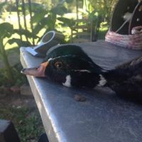 Justin Odom - Quora Profile Picture of Justin Odom (@justin-odom-27) on Quora