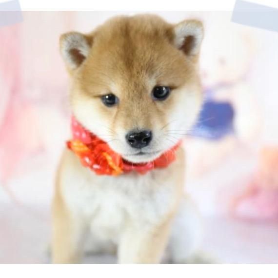 Profile Picture of Terry.K (@terry3698) on Tiktok