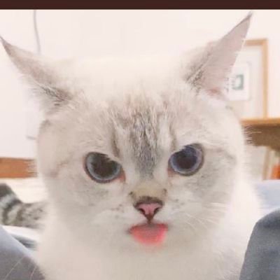 Profile Picture of Michael Winslett (@MichaelWinslet3) on Twitter