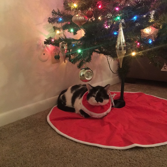 Profile Picture of Brandon Allen (@allebran) on Poshmark