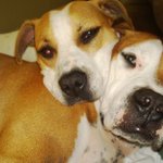 Profile Picture of George Eason (@geason313) on Instagram