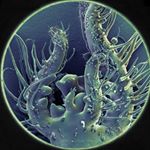 Profile Picture of SOL BAILEY BARKER (@solbaileybarker) on Instagram