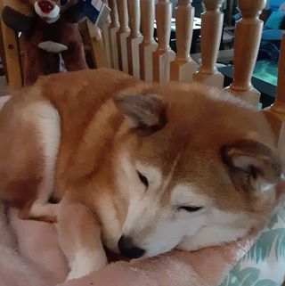 Profile Picture of Ivan Tsuchiyama (@ivan.tsuchiyama.1) on Facebook