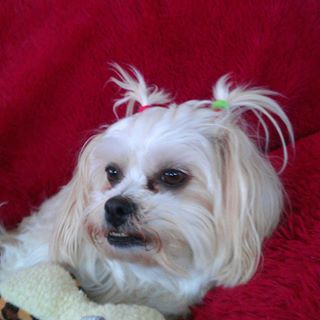 Profile Picture of Lora Hogan (@lora.hogan.9) on Facebook