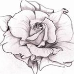 Profile Picture of TinaFentin - North Carolina (@tina.fentin) on Instagram