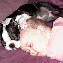 Profile Picture of Shane Tipton (@211221604) on Myspace