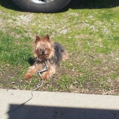 Profile Picture of Doris Ross (@DorisDeemitch67) on Twitter