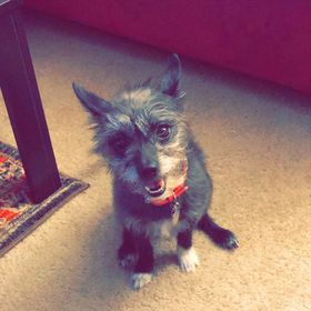 Profile Picture of Richard Rubalcaba (@anthonyruba3458) on Pinterest