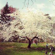 Profile Picture of Linda Husenaj (@Lumnie) on Youtube