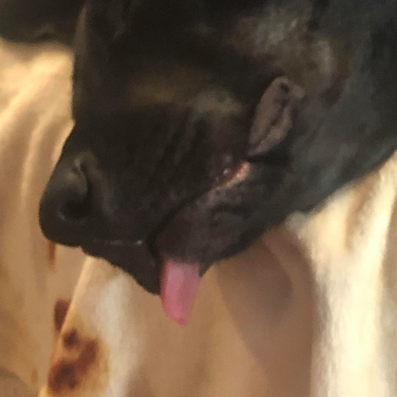 Profile Picture of Noah Cattivera (@noahcattivera) on Poshmark