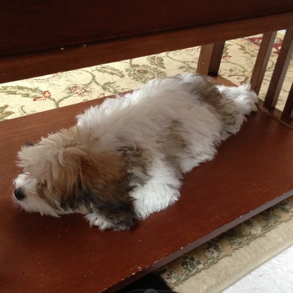 Profile Picture of Kathy Walters (@kathrynmw) on Poshmark