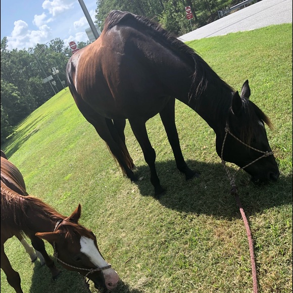 Profile Picture of Hayden Davis (@polebender44) on Poshmark