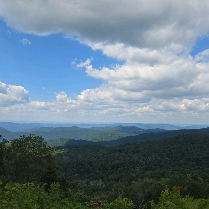 Profile Picture of Matthew (@matt.delrey87) on Tiktok