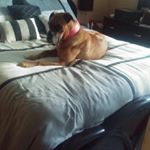 Profile Picture of Eric Shier (@shiereric) on Instagram