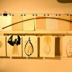 Profile Picture of braham (@brahamcarland) on Instagram